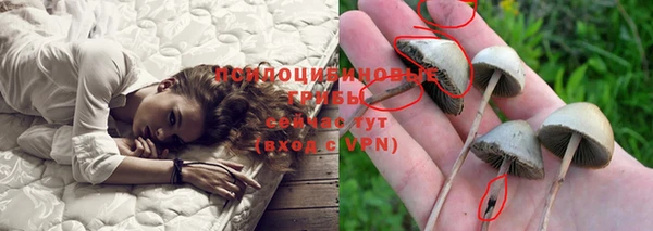 дживик Бугульма
